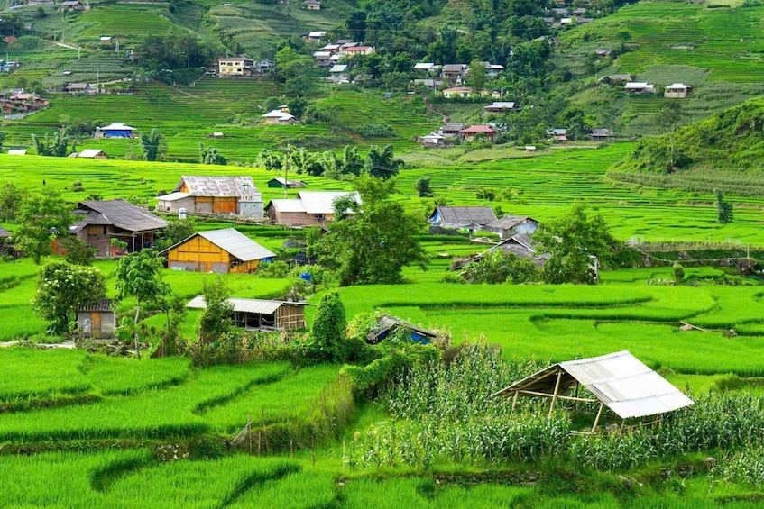 Picture 7 for Activity Hanoi: SaPa Lao Chai-Ta Van Trek, Homestay Rice Terrace View 3