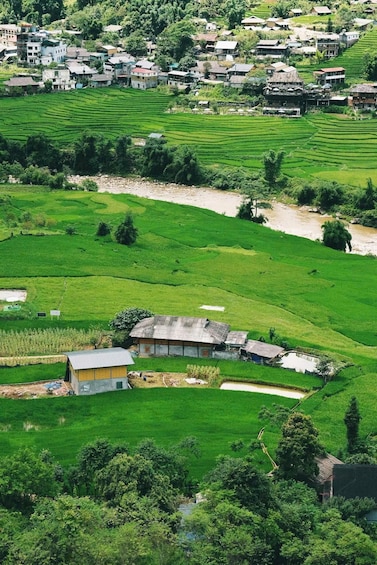 Picture 21 for Activity Hanoi: SaPa Lao Chai-Ta Van Trek, Homestay Rice Terrace View 4