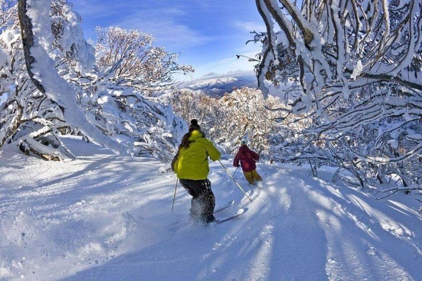Two people cross-country skiing on a snow-covered trail surrounded by trees. 3