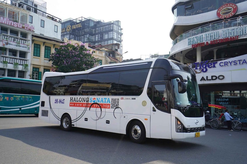 Picture 39 for Activity Hanoi: Ha Long Bay VIP Cruise, Kayak, Swim, Cave & Buffet 4