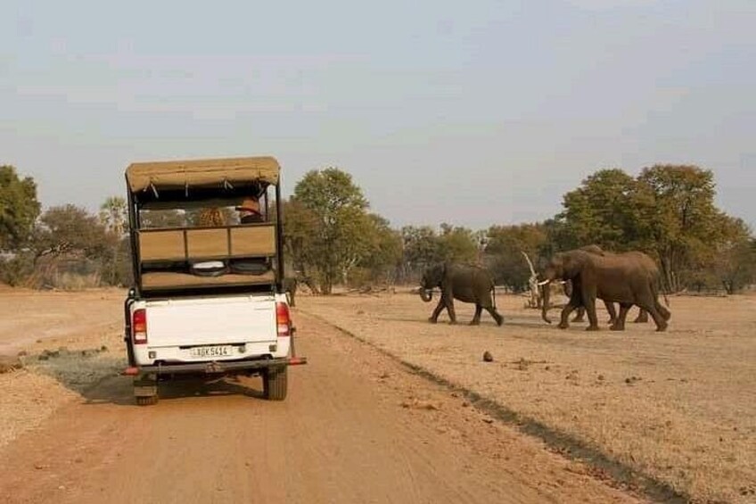 Een witte safarivoertuig met een afgesloten laadruimte rijdt over een zandweg. 1