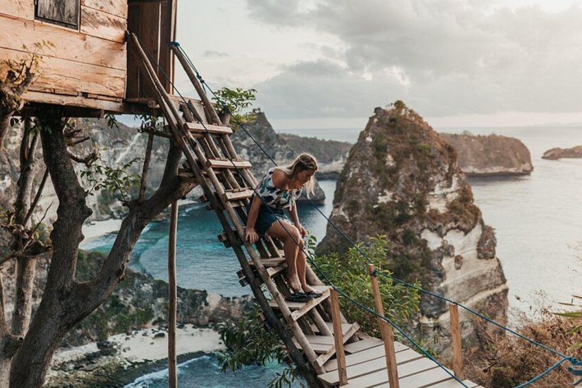 Tree House Molenteng 2