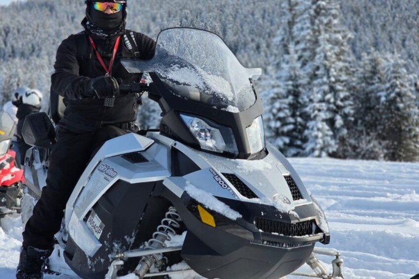 A person on a snowmobile with a helmet and goggles, in a snowy forest. 5