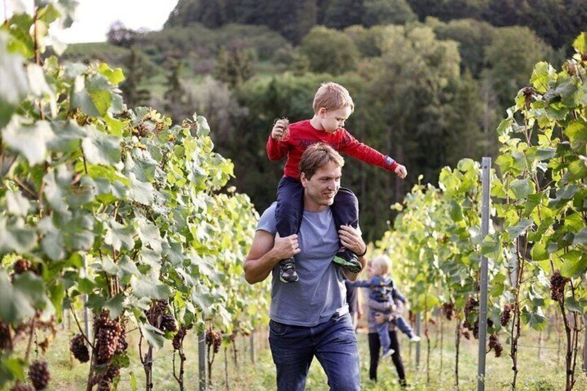 A man carrying a child in a vineyard. 4