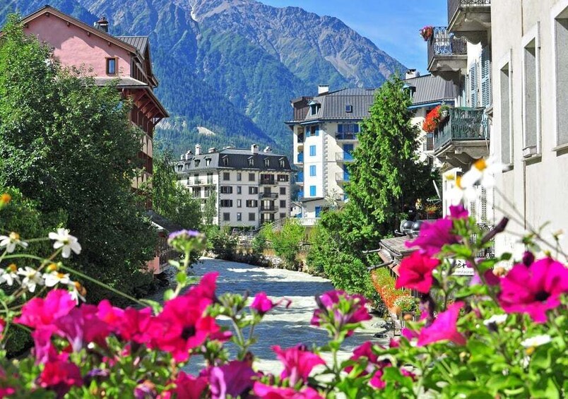 A mountain town with buildings, a river, and flowers in the foreground. 3