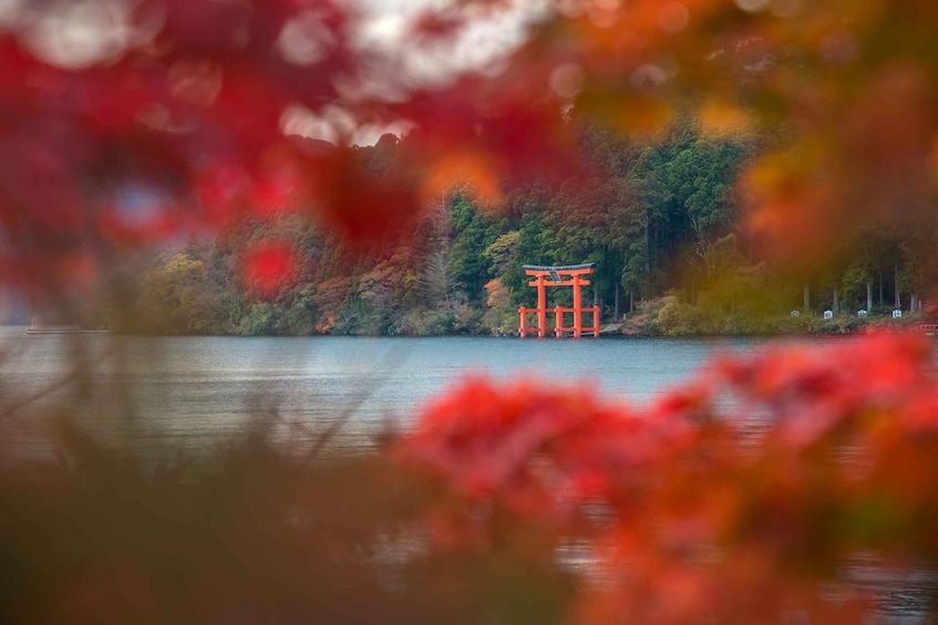 Tokyo: Mt Fuji & Hakone 6 Spots Tour w/ Bullet Train 1