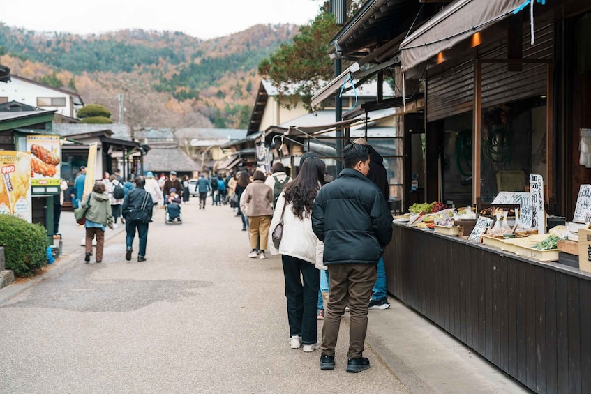Picture 7 for Activity Tokyo: Mt Fuji & Hakone 6 Spots Tour w/ Bullet Train 3