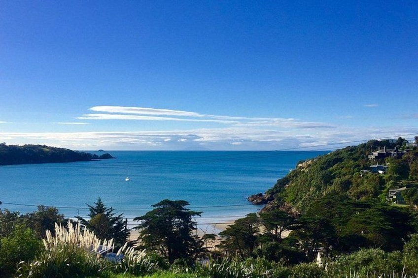 A coastal landscape with a beach, greenery, and a clear blue sky. 2