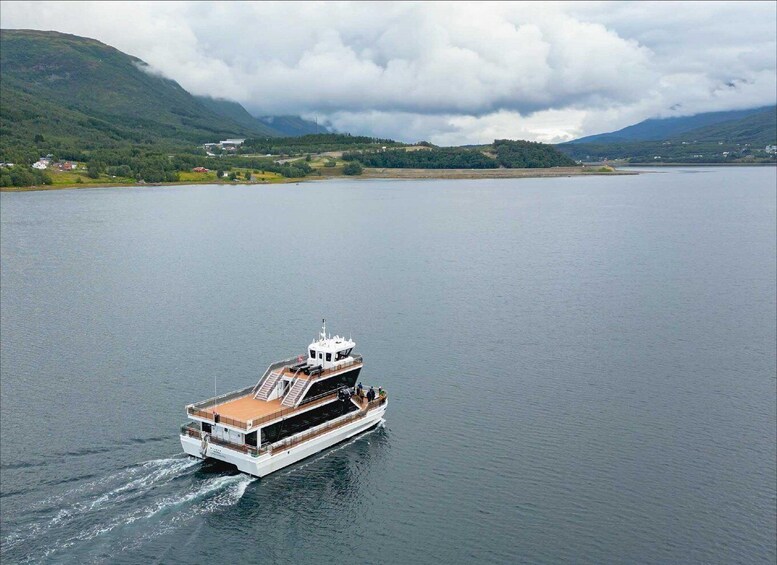 Een witte boot met een kajuit en dek, die over kalm water vaart met heuvels en een bewolkte lucht op de achtergrond. 4