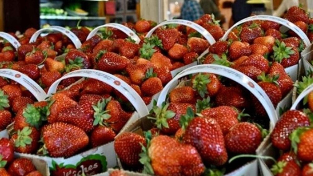 Multiple baskets of strawberries with labels. 5