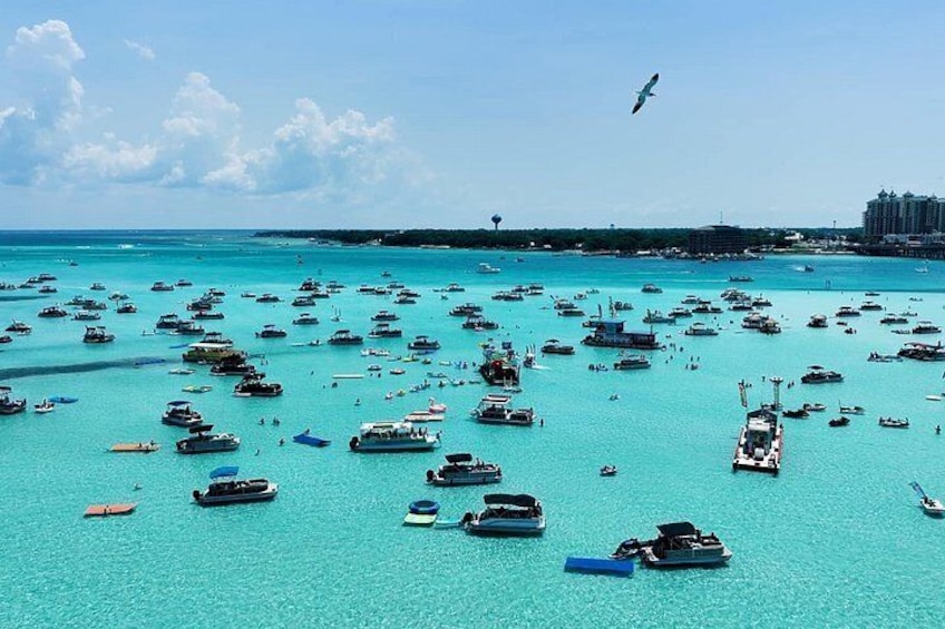 Crab Island Catamaran Charter from Fort Walton Beach 3