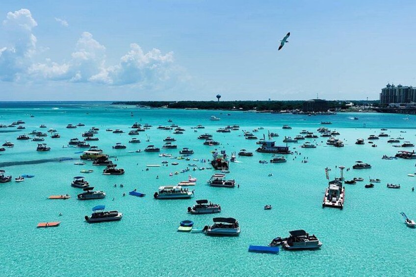 Crab Island Catamaran Charter from Fort Walton Beach 2