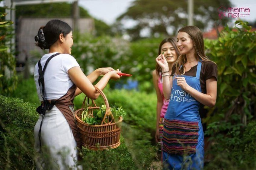 Zwei Frauen ernten Pflanzen in einem Garten. 5