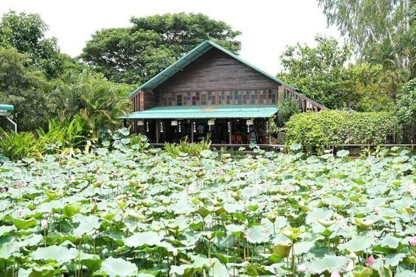 Ein Holzhaus mit grüner Dachdeckung, umgeben von einem Lotus-Teich. 4