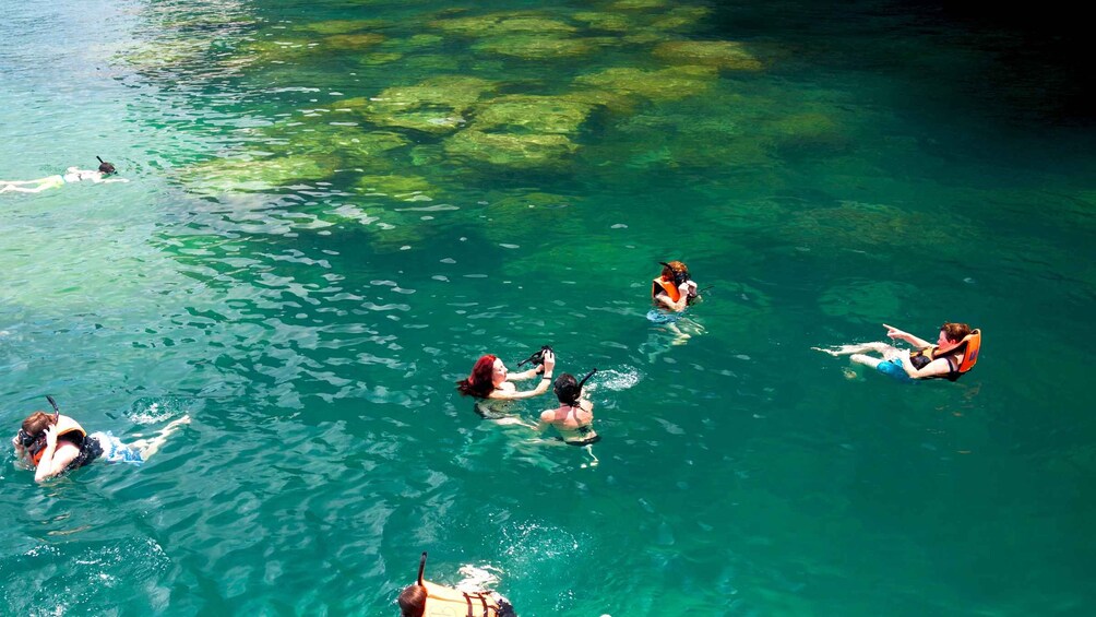 People swimming in clear blue water. 2