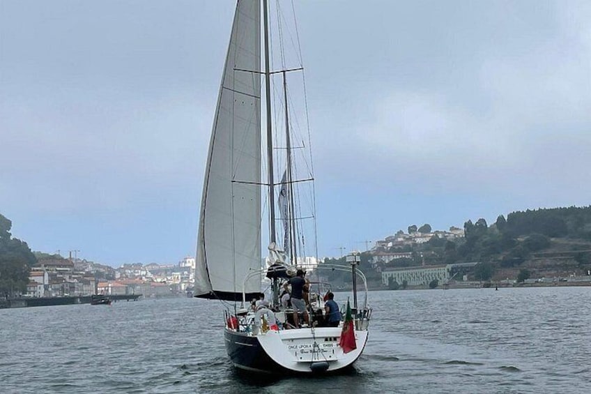 Porto: Douro River Group Boat Tour 2