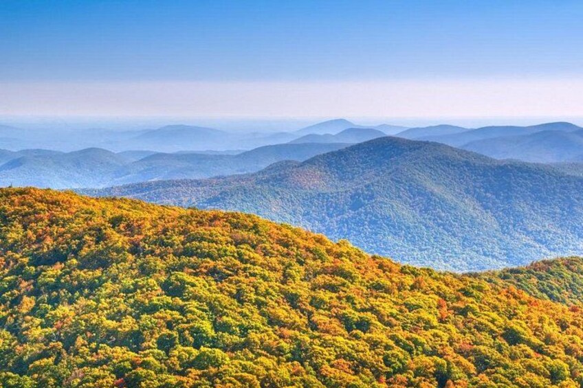 Half-Day Wine Tastings in the North GA Mountains from Atlanta 1