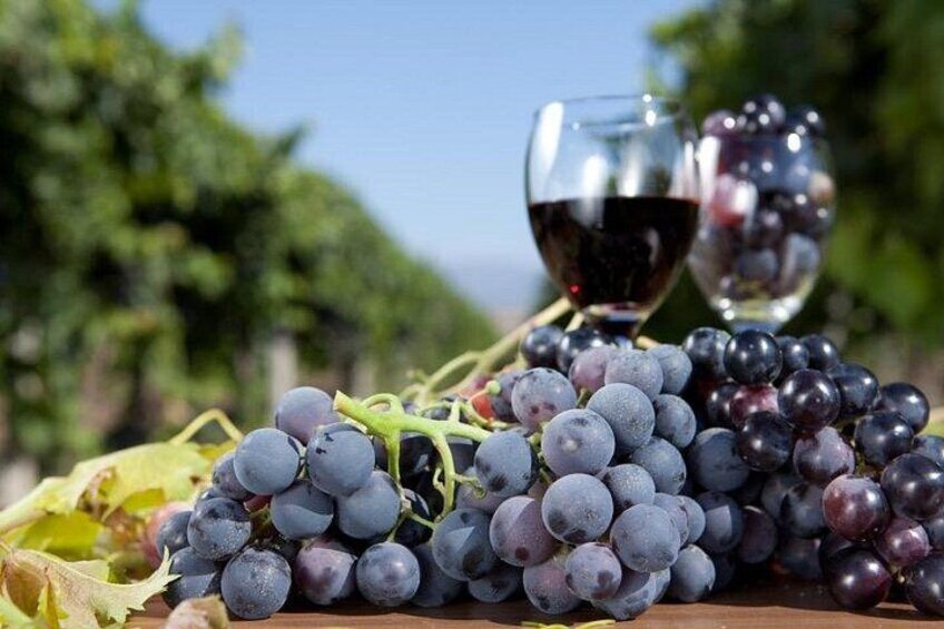 Half-Day Wine Tastings in the North GA Mountains from Atlanta 2