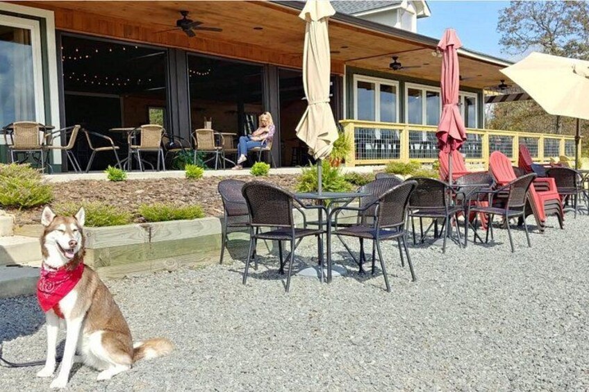 Half-Day Wine Tastings in the North GA Mountains from Atlanta 3