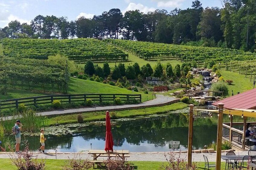 Half-Day Wine Tastings in the North GA Mountains from Atlanta 5