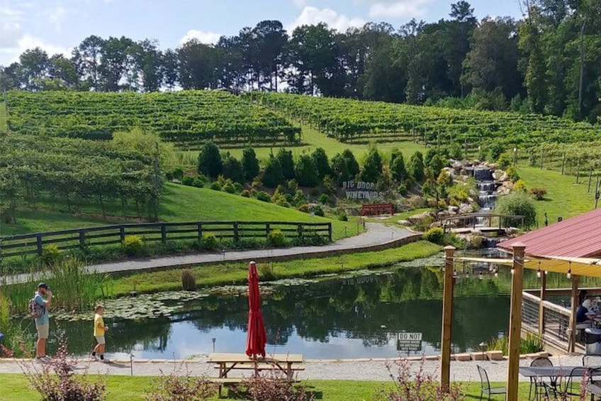Half-Day Wine Tastings in the North GA Mountains from Atlanta 3