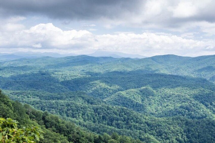 Half-Day Wine Tastings in the North GA Mountains from Atlanta 4