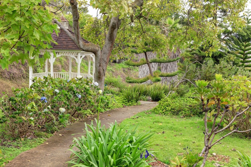 Un jardí amb un porxo blanc, un camí sinuós i diverses plantes verdes. 5