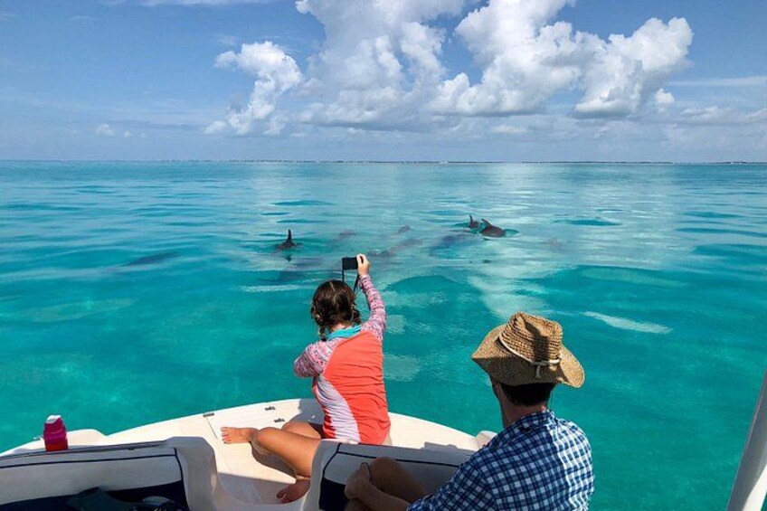 Een boot met twee personen, waarvan er één foto's maakt van dolfijnen in de oceaan. 1