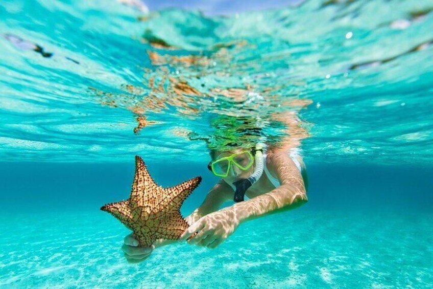 En person snorkler under vandet med en stjerne. 2