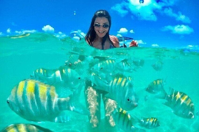 A person swimming with striped fish in clear blue water. 2