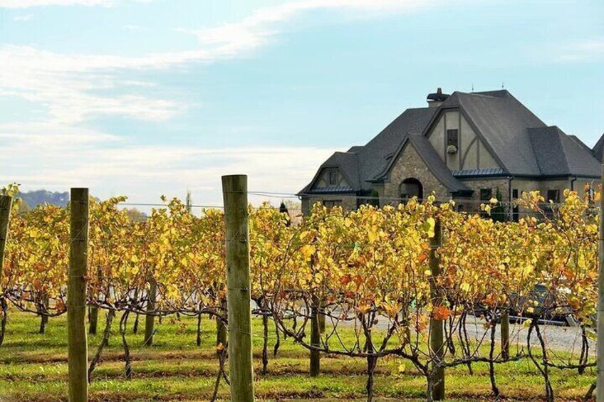 Full-Day Wine Country Wine Tastings From Atlanta & Outlet Shopping