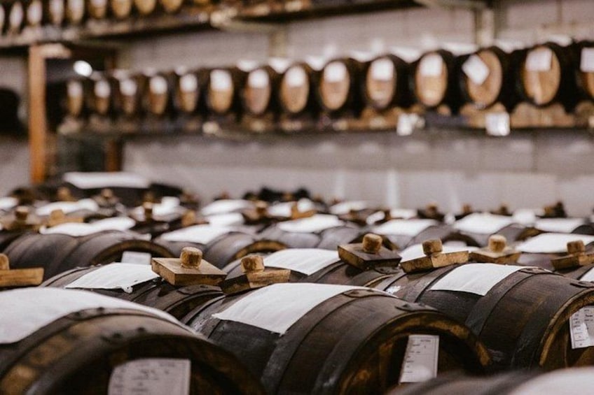 Tour with a tasting of the authentic Traditional Balsamic vinegar 4