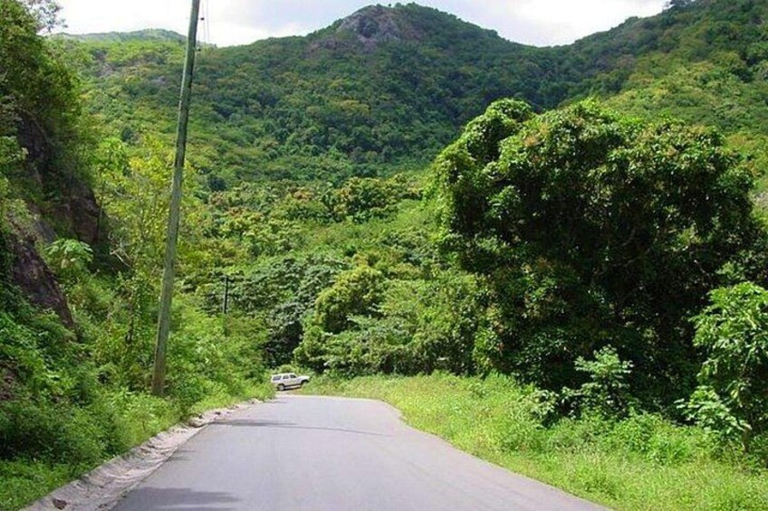Half-Day Tour: A Taste of Paradise and History of Antigua 2