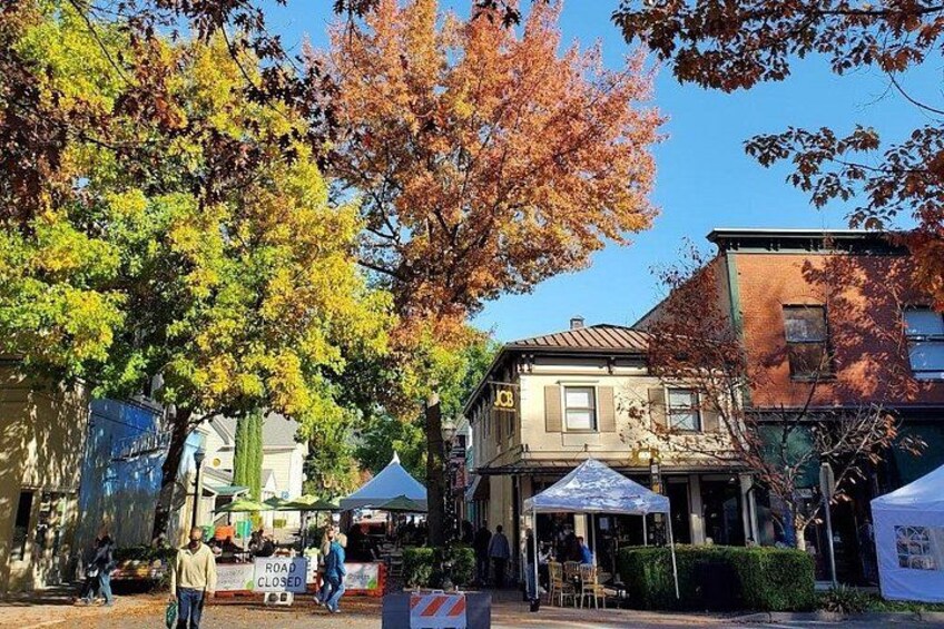 History Walking Tour of Healdsburg 3