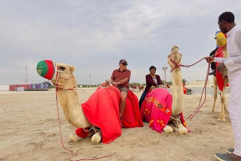 Desert safari with Free Camel ride & Falcon Photo Snap