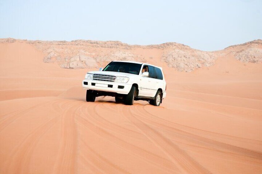 Desert safari with Free Camel ride & Falcon Photo Snap