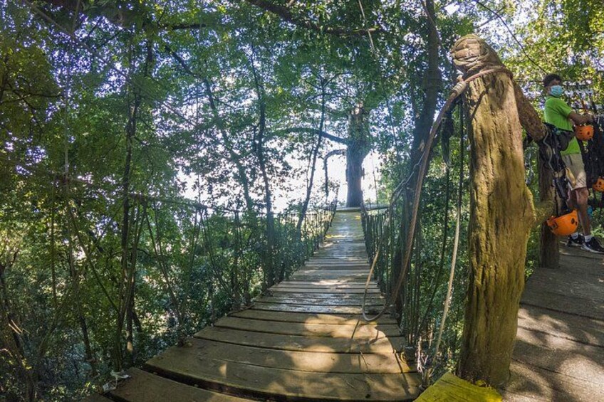 Day Pass @ Paradise Beach + Optional Gumbalimba Animal Sanctuary and/or Zip Line 2