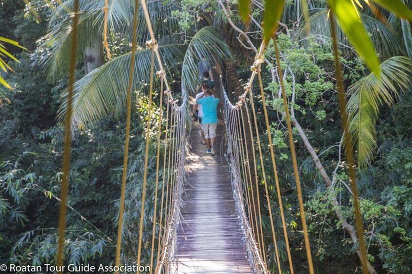 Day Pass @ Paradise Beach + Optional Gumbalimba Animal Sanctuary and/or Zip Line 4