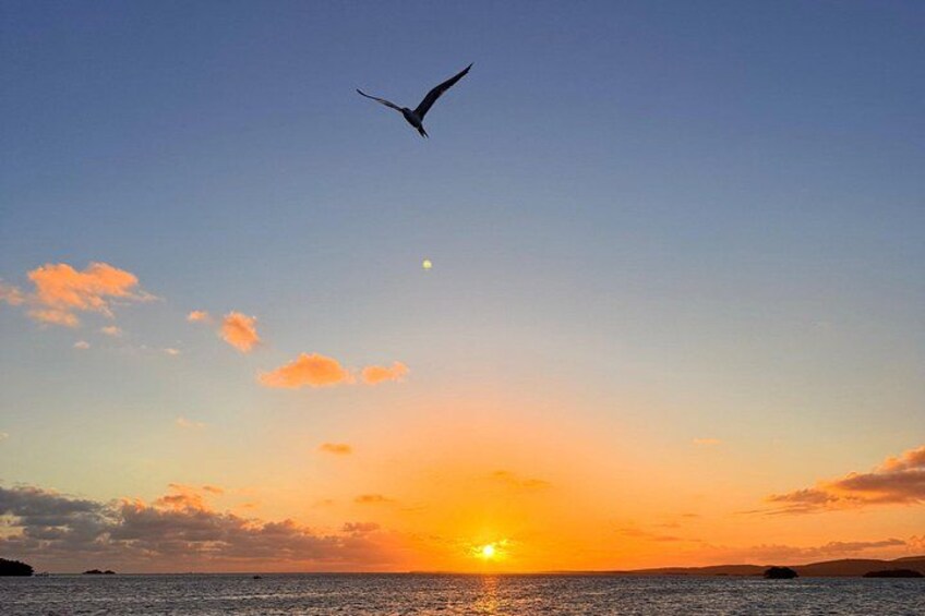 Un atardecer sobre un cuerpo de agua con un ave volando y nubes en el cielo. 3
