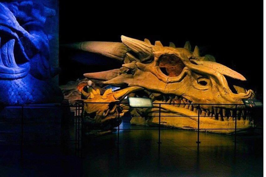 A large dinosaur skull exhibit with a blue rose sculpture. 3