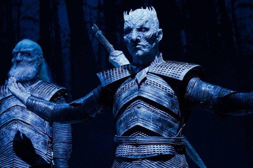 Game of Thrones Studio Tour with Coach Transfer from Dublin 3