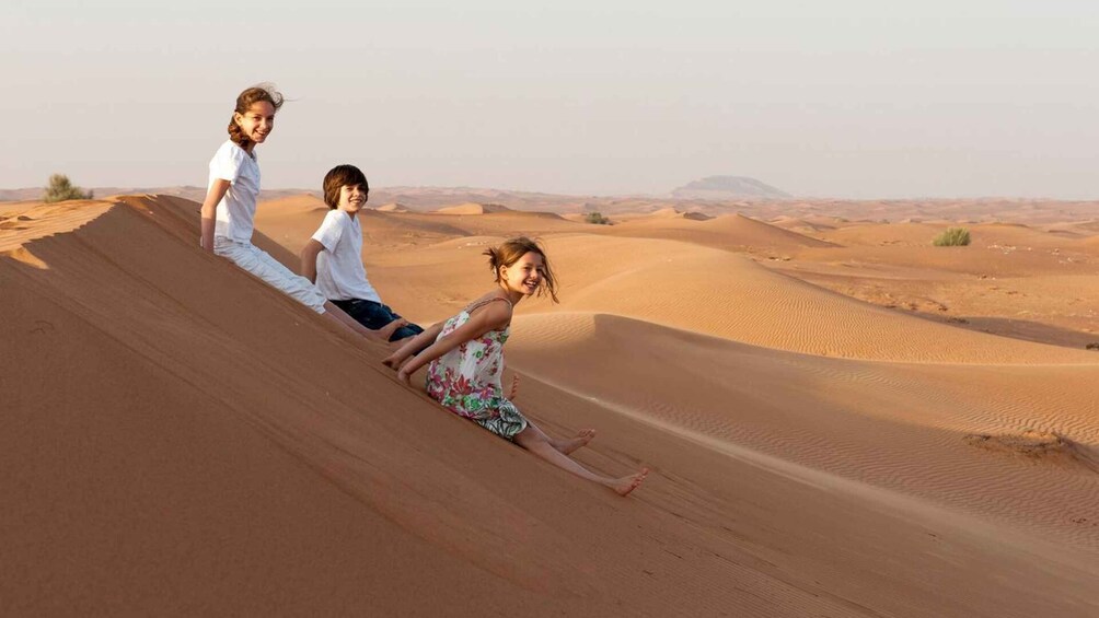 Picture 2 for Activity Dubai: Red Dunes Desert Safari, Premium Camp, BBQ & 5 Shows 3