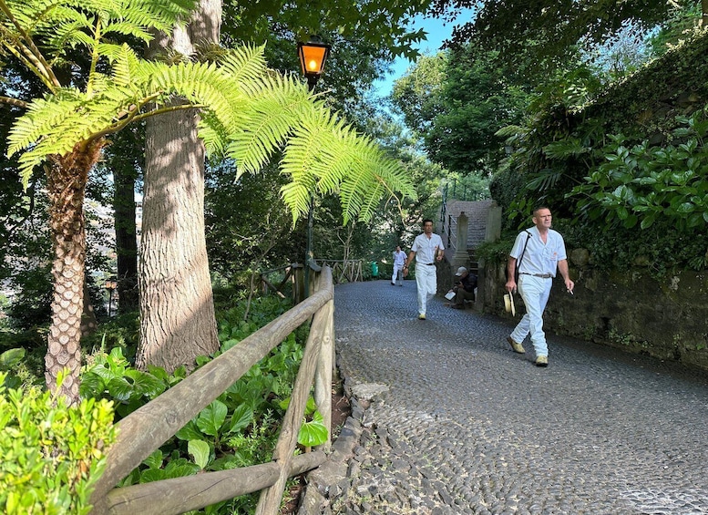 Picture 2 for Activity Private tour:Tuk Tuk Ride to Monte Funchal Toboggans 3