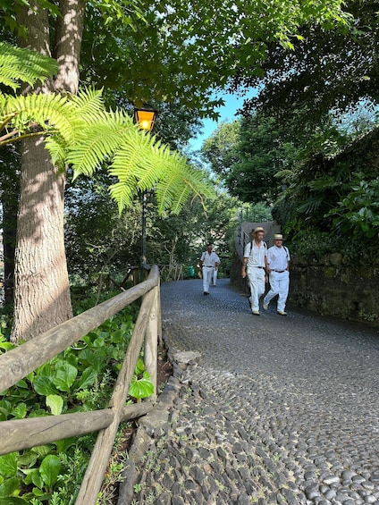 Picture 10 for Activity Private tour:Tuk Tuk Ride to Monte Funchal Toboggans 5