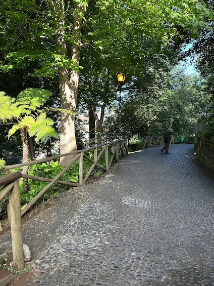 Picture 12 for Activity Private tour:Tuk Tuk Ride to Monte Funchal Toboggans 2