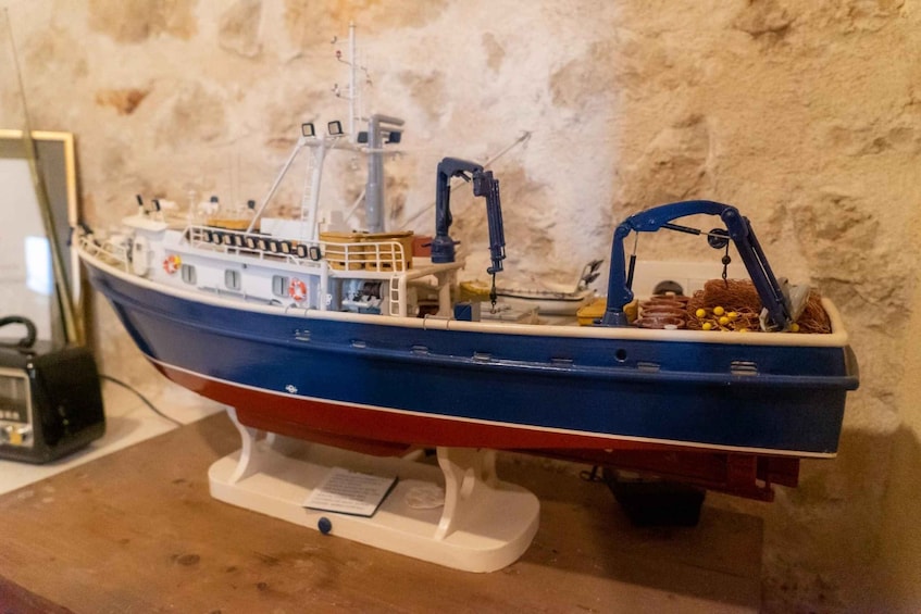 Picture 20 for Activity Zadar: Guided Speedboat Tour with Food, Oil & Wine Tasting 4