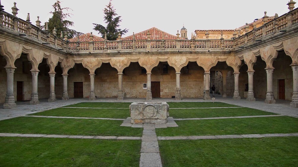 Picture 4 for Activity From Madrid: Avila and Salamanca Private Tour