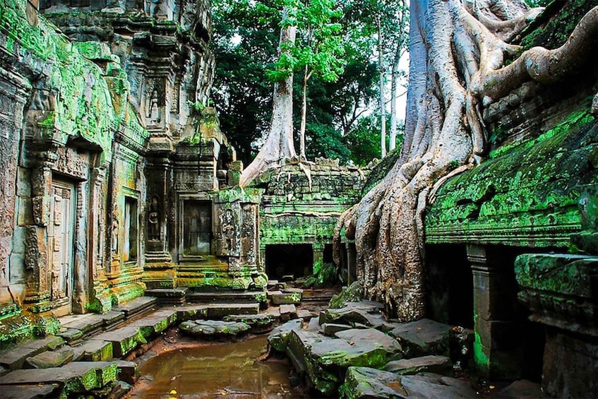 Picture 28 for Activity Siem Reap: Angkor Wat: Small-Group Sunrise or Sunset Tour 5