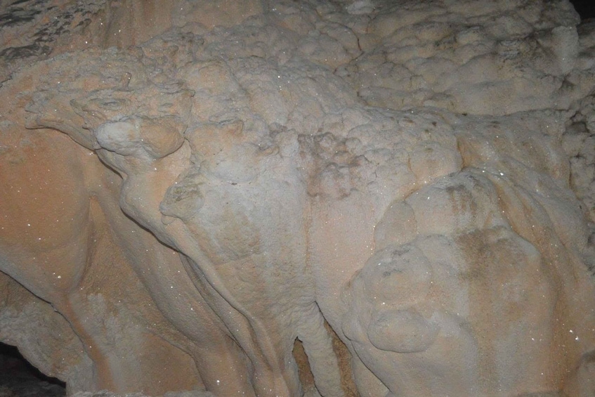 Picture 10 for Activity Belize City: CaveTubing or Crystal Cave+ or Zipline n Tubing 5