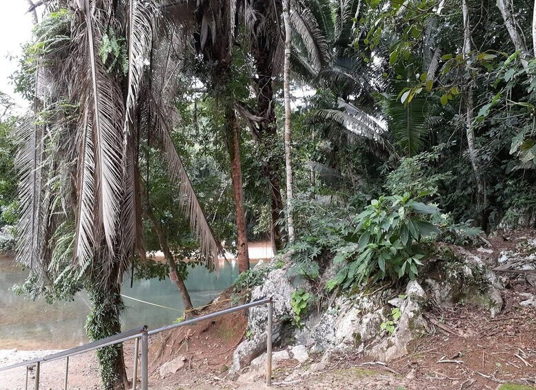 Picture 6 for Activity Belize City: CaveTubing or Crystal Cave+ or Zipline n Tubing 3